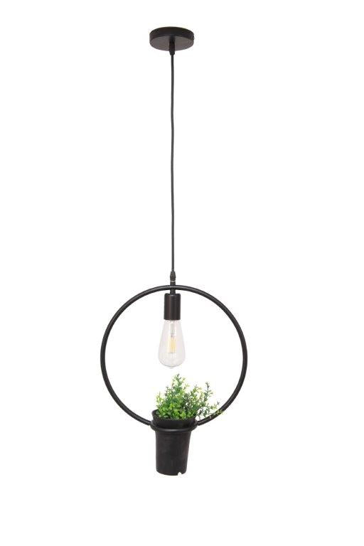 Forest Circular Pendant 1 Lamp