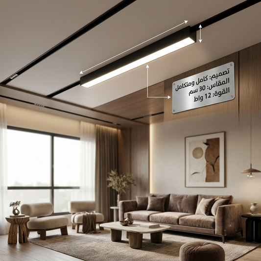Magnetic Track Light Linear 12W LED Daylight 6000K 30cm Modern Black