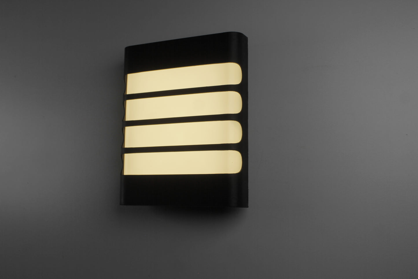 Modern Black LED Wall Light 24W 3 Color Changing Wall Mounted Light
