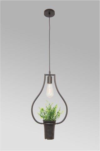Forest curved Pendant 1 Lamp
