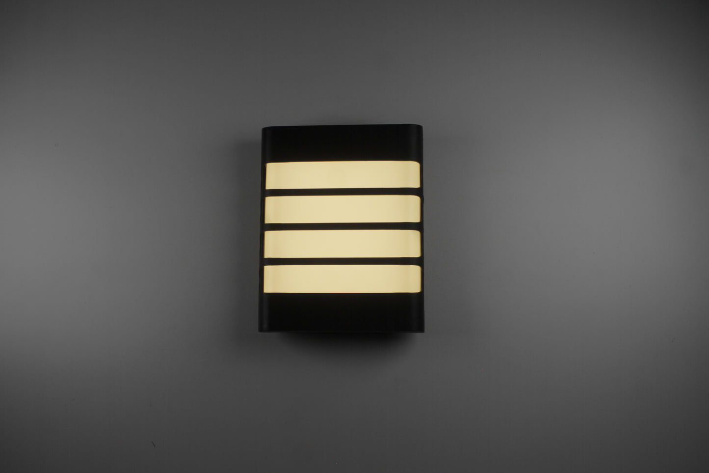 Modern Black LED Wall Light 24W 3 Color Changing Wall Mounted Light