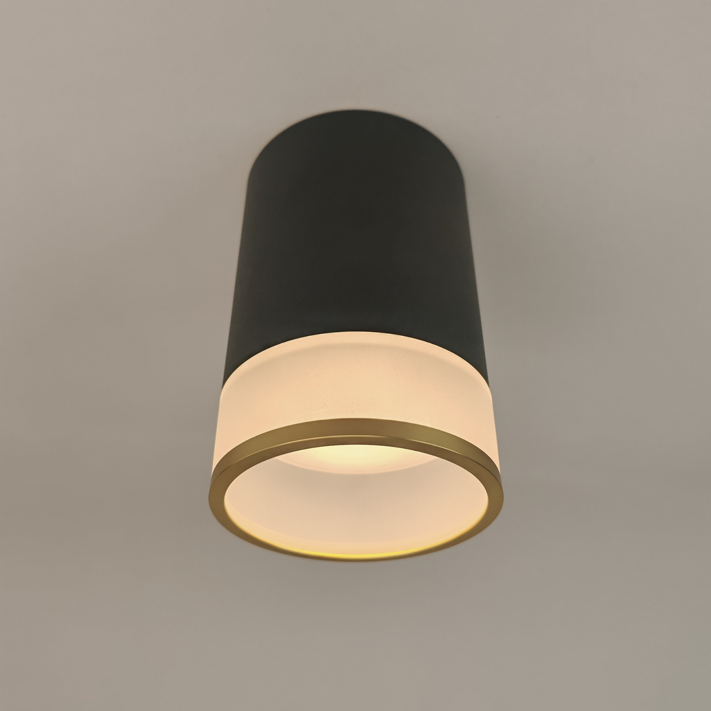 Modern Black Cylinder Spot Light MR16 Ceiling Mounted