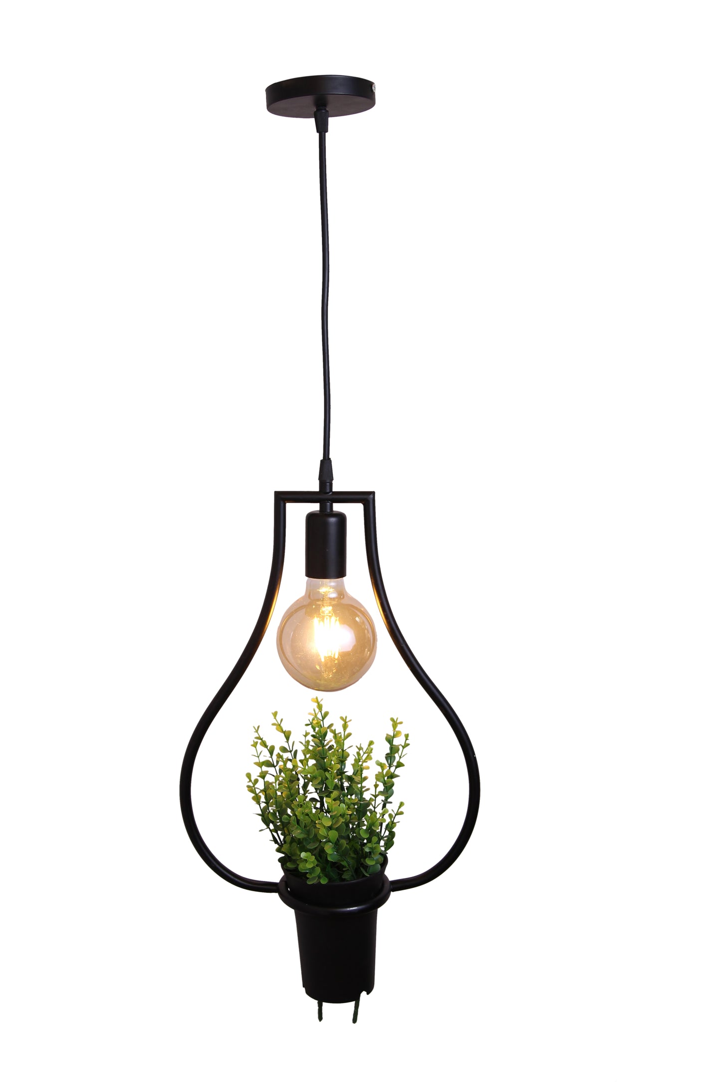Forest curved Pendant 1 Lamp